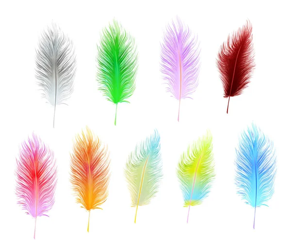 Set Multi Colored Vector Feathers Isolated White Background — Stock Vector