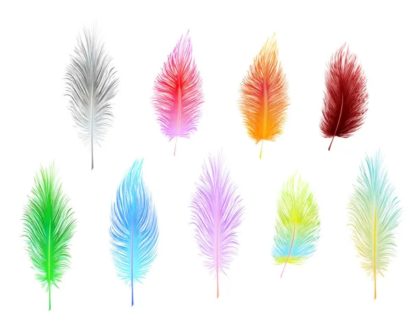 Conjunto Plumas Vectoriales Multicolores Aisladas Sobre Fondo Blanco — Vector de stock