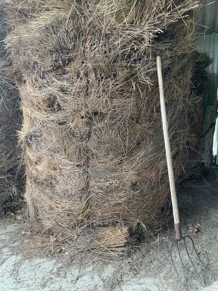 Samanlık. Fransa Provence 'deki lavanta köyü. 