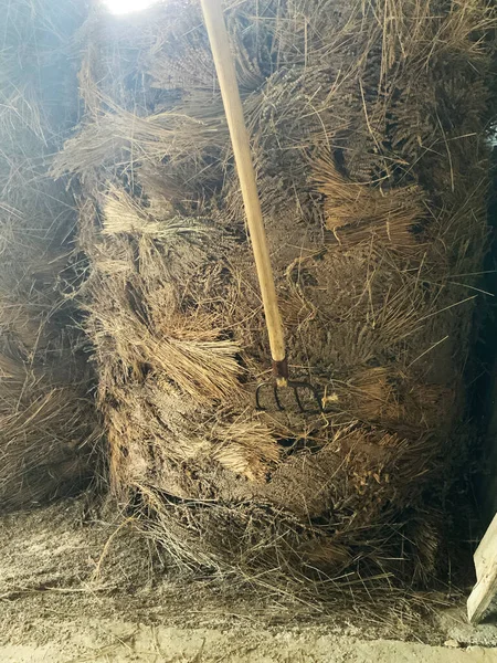 Samanlık. Fransa Provence 'deki lavanta köyü. 