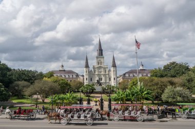 S.t Louis Katedrali çizilmiş at arabası olarak diğer binalar ile arka planda bir yaz gününde New Orleans turistler için bekleyin. 