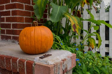 Halloween veya Şükran tatil için hazır bir tuğla verandada bir balkabağı.