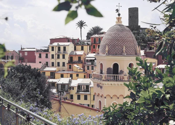 Cidade Mediterrânea Velha Bonita Vernazza Com Casas Coloridas Flores Dia — Fotografia de Stock