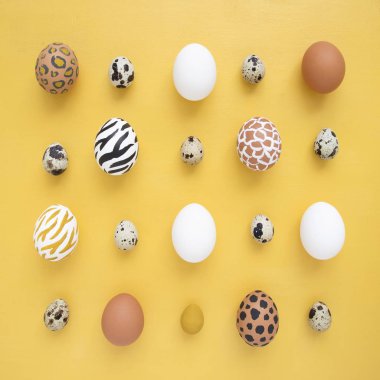 Sarı arka planda Paskalya yumurtaları boyandı. Yaratıcı hayvan deseni. 