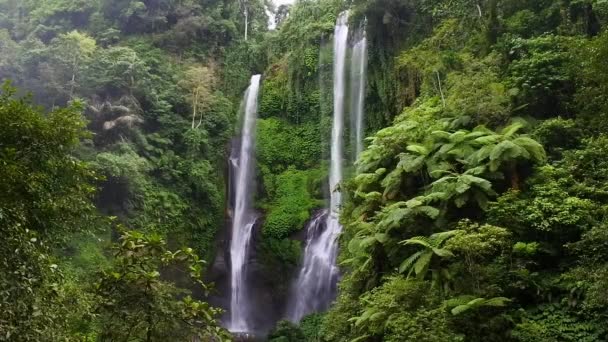 Full Size Sekumpul Waterfall Bali — Stock Video