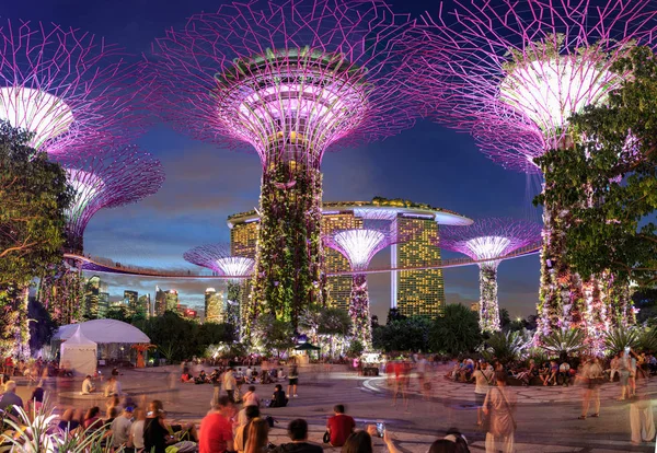 Singapore Singapore Circa September 2017 Natt Syn Supertree Grove Gardens — Stockfoto