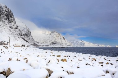 Sahile yakın Hamnoy köyü Lofoten Adaları, Norveç