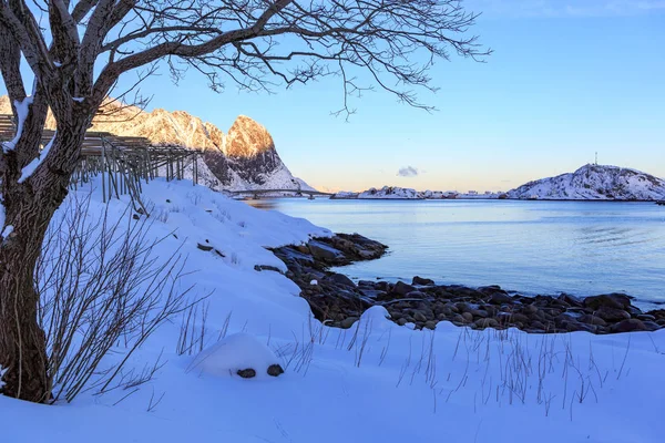 Рибацькому Селі Reine Прибуття Островів Норвегії — стокове фото