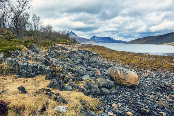 Widok Fjordbotn Wyspie Senja Kołem Polarnym Norwegii — Zdjęcie stockowe