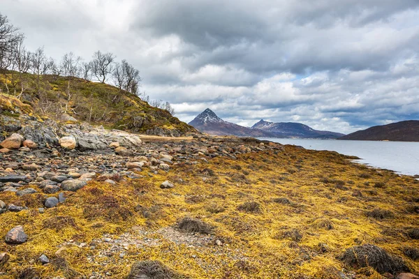 Widok Fjordbotn Wyspie Senja Kołem Polarnym Norwegii — Zdjęcie stockowe