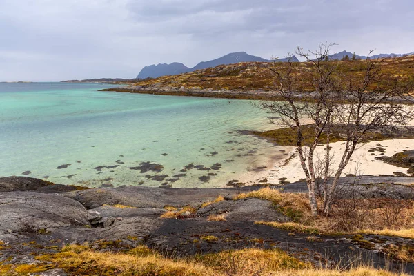 Vista Del Paesaggio Dell Isola Senja Oltre Circolo Polare Norvegia — Foto Stock