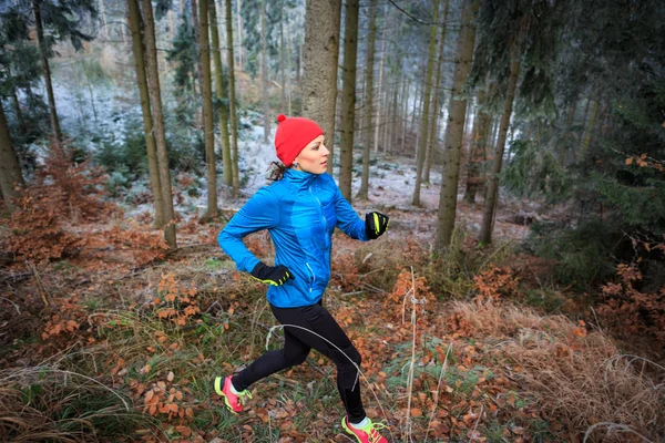 Ung Kvinna Joggar Den Vintriga Skogen — Stockfoto