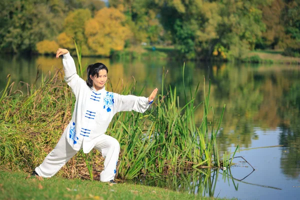 Młoda Kobieta Robi Taichi Lub Gong Ćwiczenia Nad Jeziorem — Zdjęcie stockowe