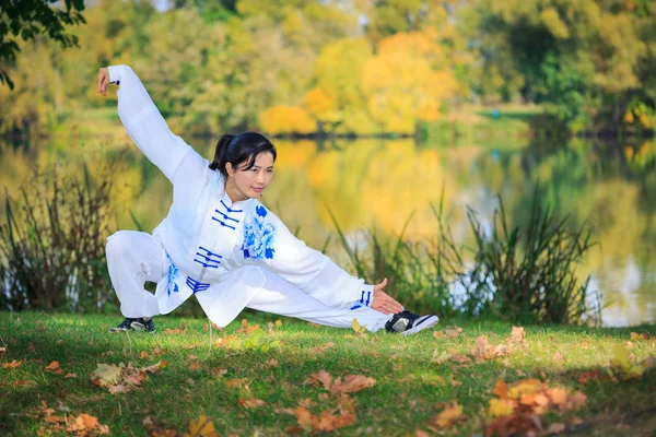 Genç Kadın Bir Gölde Taichi Gong Egzersiz Yaparak — Stok fotoğraf