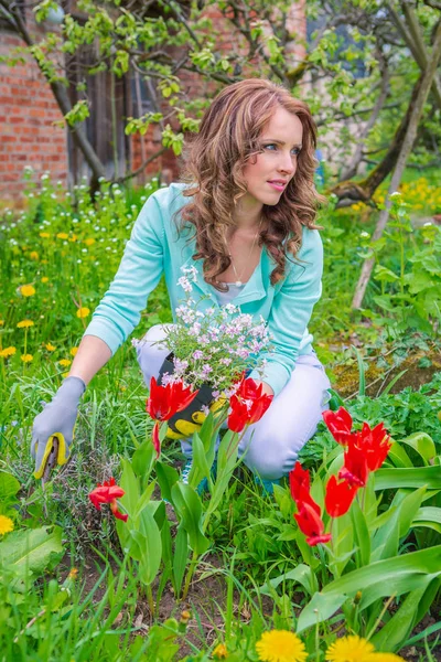 Junge Frau Arbeitet Garten Coburg Deutschland — Stockfoto