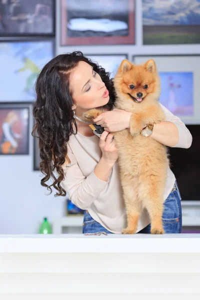 Kadın Bir Damat Bir Pomeranya Köpeği Köpek Damat Salon Yaşam — Stok fotoğraf