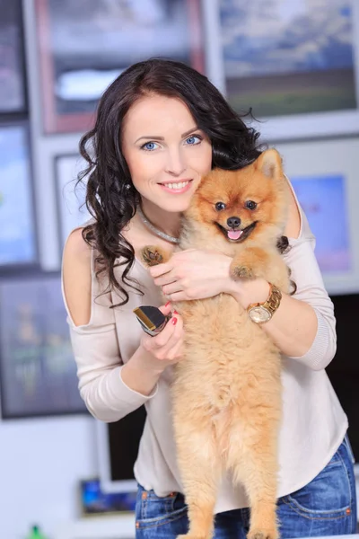 Kadın Bir Damat Bir Pomeranya Köpeği Köpek Damat Salon Yaşam — Stok fotoğraf