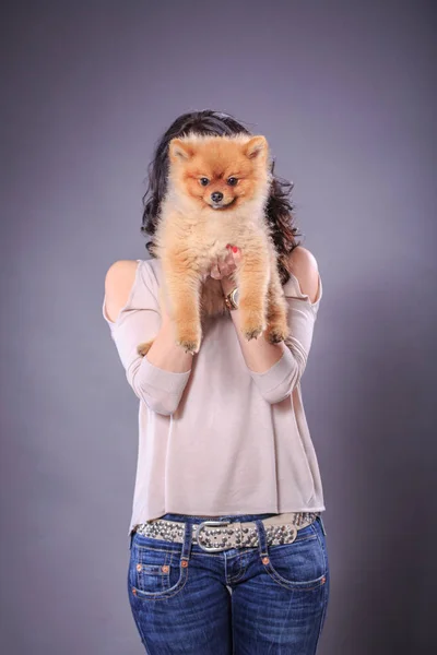 Het Studio Portret Van Een Jonge Vrouw Met Pommeren Hond — Stockfoto