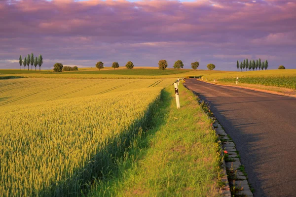 Paysage Rural Été Couchant Soleil — Photo