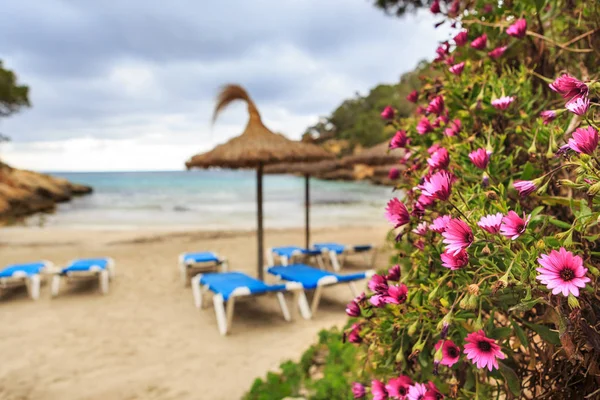 Mallorca Island Akdeniz Spanya Balear Adaları Portalları Vells Koy — Stok fotoğraf