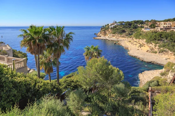 西班牙地中海的阿里岛 马略卡岛的小海湾 — 图库照片