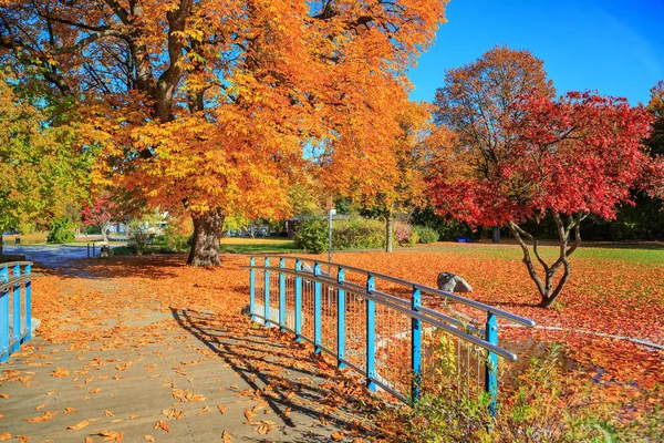 Stad Parl Alias Stadtpark Neurenberg Val Duitsland — Stockfoto