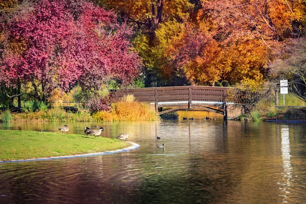 Городской Парк Нюрбургринге Осенью Германия — стоковое фото
