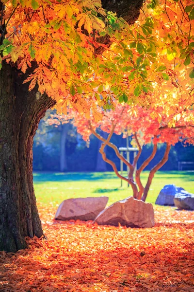 Stad Park Alias Stadtpark Neurenberg Val Duitsland — Stockfoto