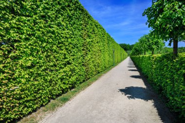Bayreuth, Almanya - Mai, 2016 yaklaşık: Eremitage parkta Bayreuth, Almanya