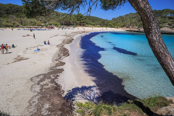 Mallorca Balearen Spanje Circa Mai 2016 Het Samarador Strand Van — Stockfoto