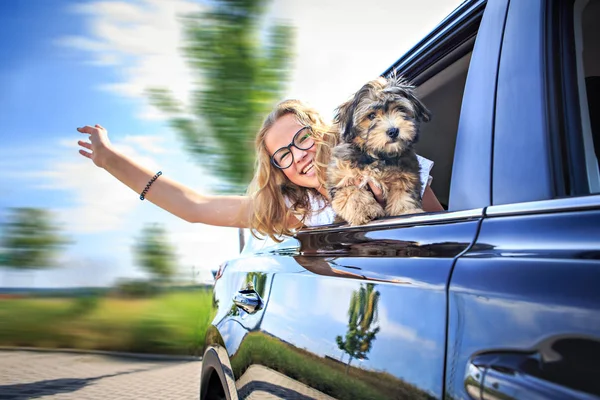 Uma Menina Viajando Carro Com Sua Família Cão — Fotografia de Stock
