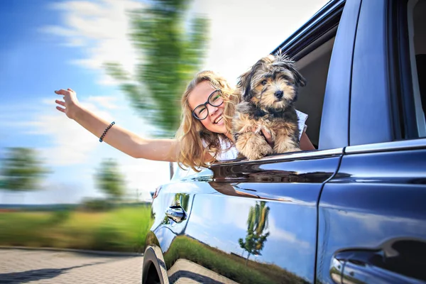 Una Ragazza Che Viaggia Auto Con Sua Famiglia Cane — Foto Stock