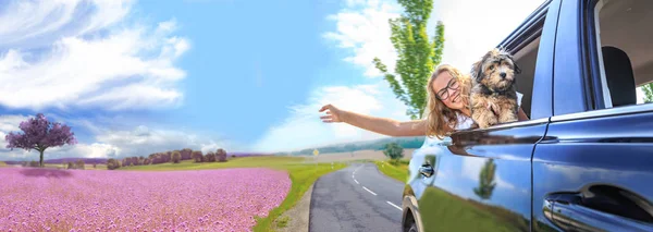 Una Chica Viajando Coche Con Familia Perro — Foto de Stock