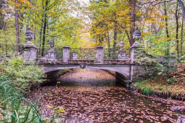 Münih, Bavyera, Almanya - Ekim, 2018 yaklaşık: Park in Nymphenburg Sarayı sonbaharda Münih, Almanya