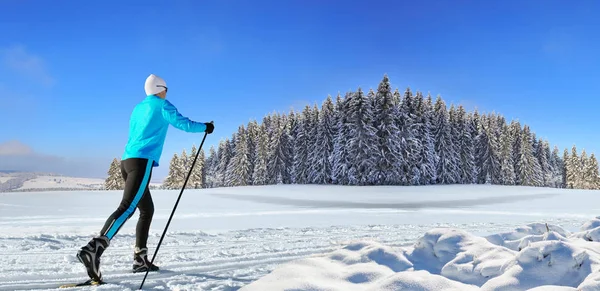 Kvinna Längdåkning Den Vintriga Skogen — Stockfoto