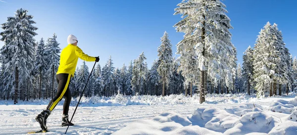 Μια Γυναίκα Διασχίζουν Χώρα Σκι Στο Δάσος Χειμώνα — Φωτογραφία Αρχείου