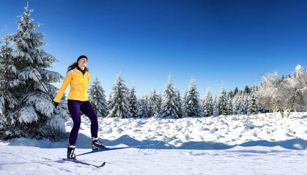 年轻女子在寒冷的森林里越野滑雪 — 图库照片