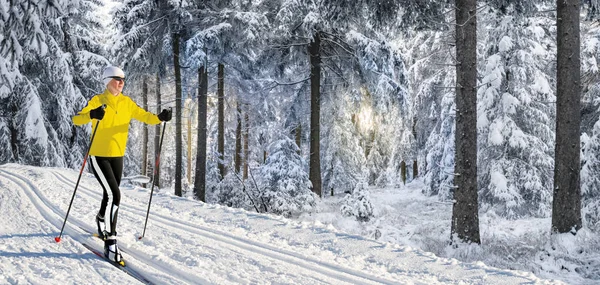 Een Vrouw Langlaufen Het Winterse Landschap Van Noorwegen — Stockfoto