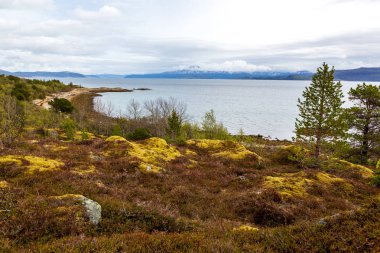 Kutup Dairesi Norveç'te ötesinde Senja Adası manzaralı