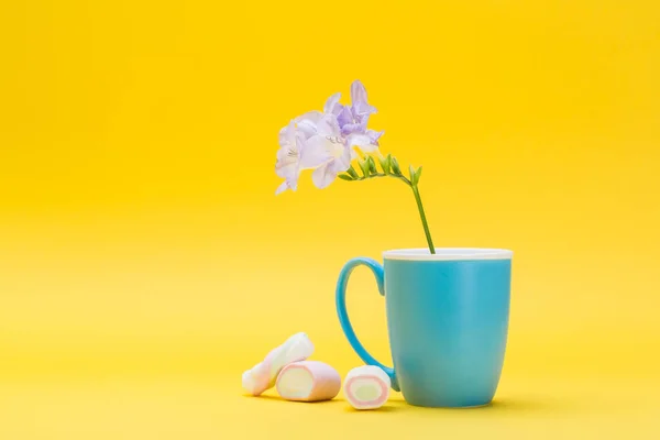 Instalación Pascua Con Malvaviscos Flores —  Fotos de Stock