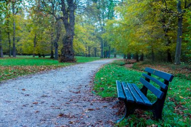 Münih, Bavyera, Almanya - Ekim, 2018 yaklaşık: Park in Nymphenburg Sarayı sonbaharda Münih, Almanya