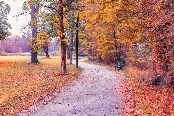 Parque Viejo Otoño Munich Alemania —  Fotos de Stock