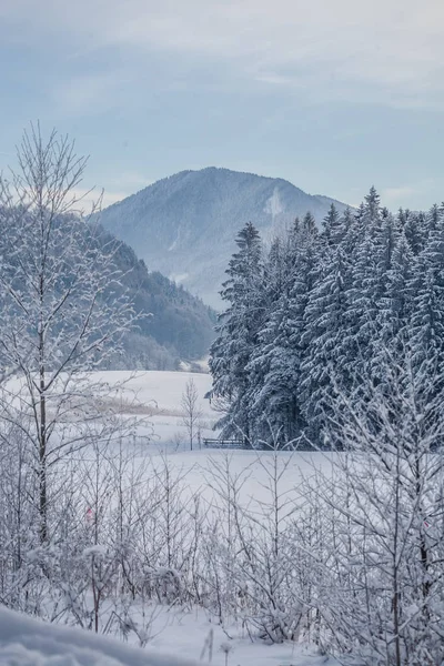 Berchtesgaden — Fotografia de Stock