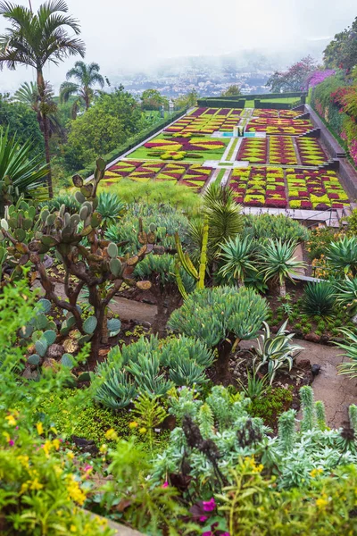 Jardim Botânico Jardim Botânico da Madeira — Fotografia de Stock
