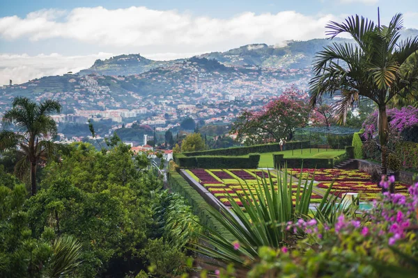 Ботанічний сад Jardim Botanico da Madeira — стокове фото