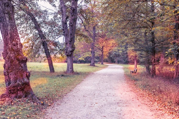 Sonbaharda eski bir park — Stok fotoğraf