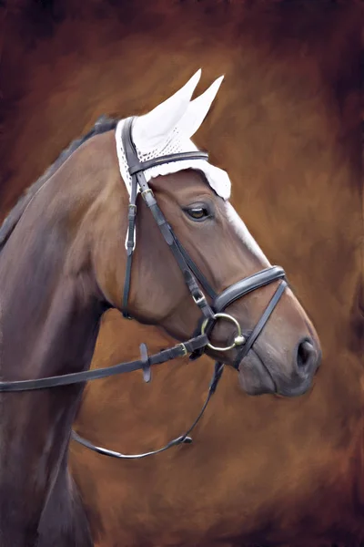 Egy ló portréja — Stock Fotó