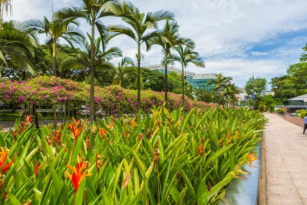 Parque Istana de Singapura — Fotografia de Stock