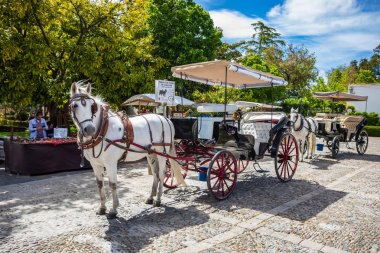 Ronda 'dan at arabası