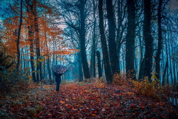 Vieux parc à l'automne — Photo